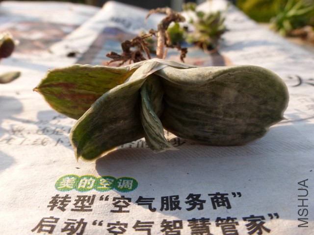 P1000201.JPG