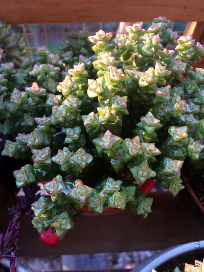 QQͼƬ20141015112134.jpg