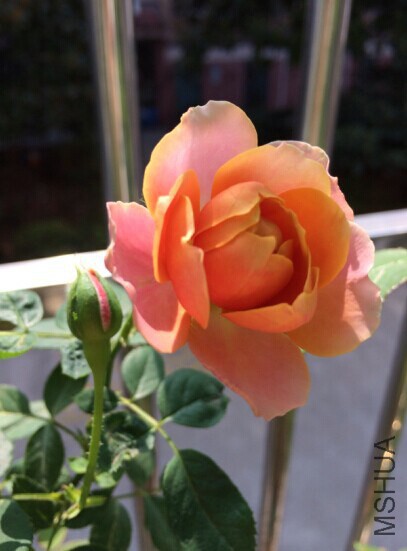QQͼƬ20141015133626.jpg