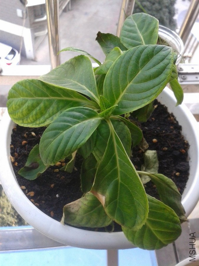 20141014_082241.jpg