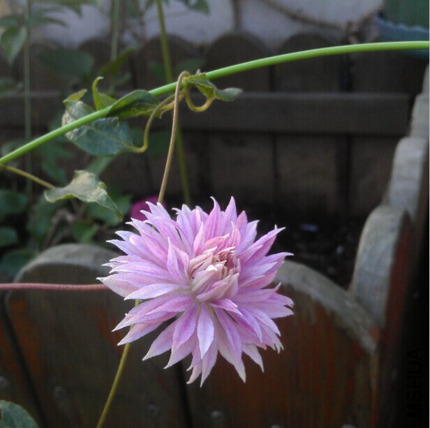 QQ20141008133552.jpg