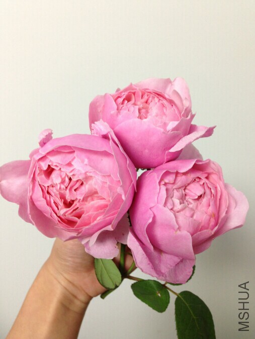 QQͼƬ20141015180347.jpg