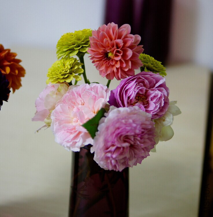 QQͼƬ20141016002014.jpg