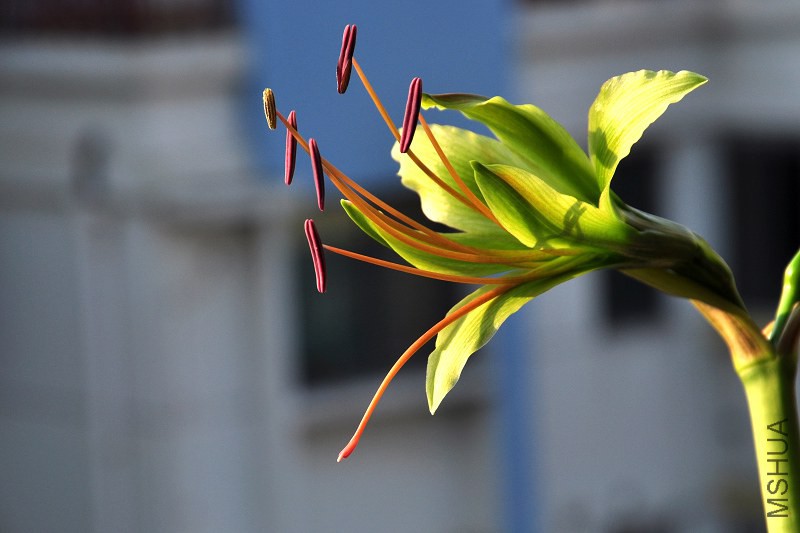 DSC_8025.jpg