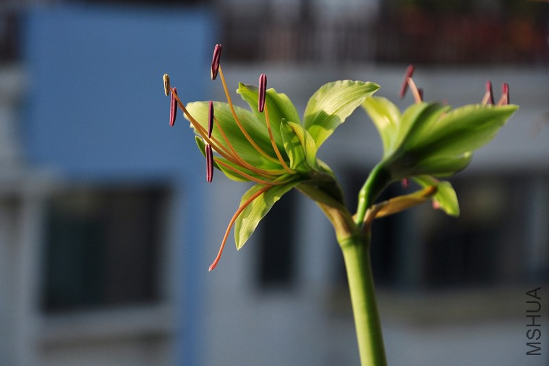 DSC_8017.jpg