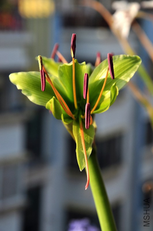 DSC_8020.jpg