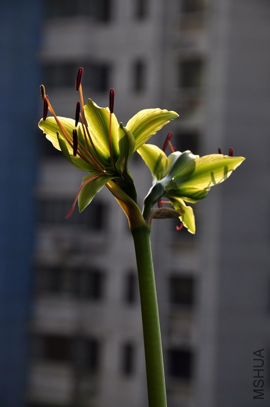 DSC_8031.jpg