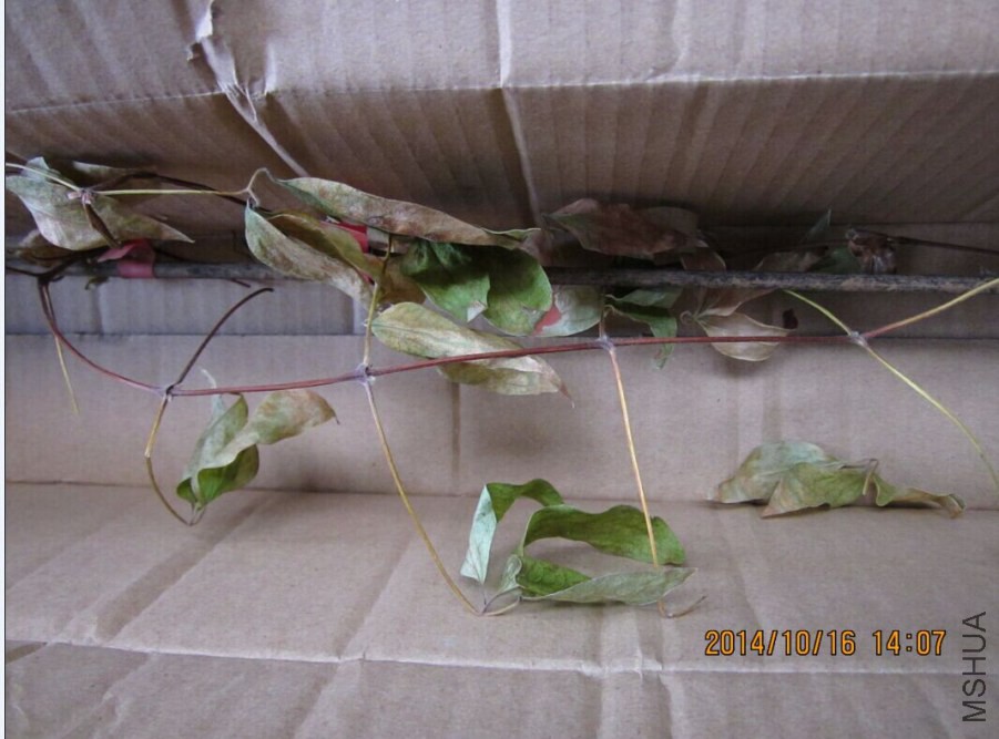 QQͼƬ20080816174710.jpg