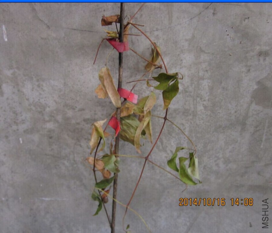 QQͼƬ20080816174713.jpg
