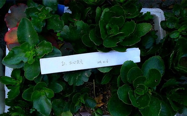 1_����.jpg