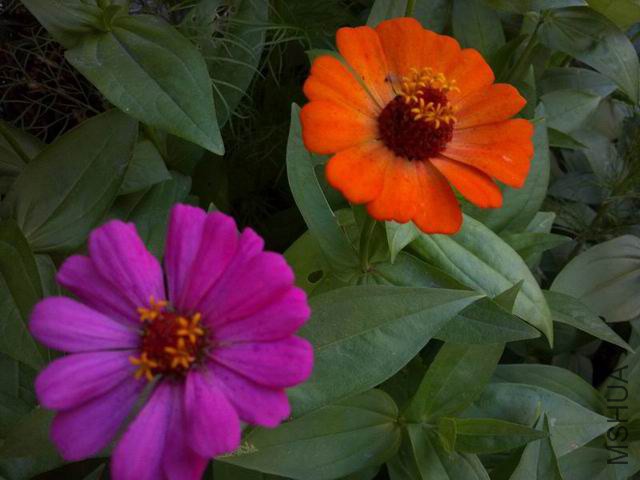 ������С P_032.jpg