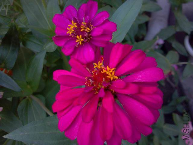 ������С P_055.jpg