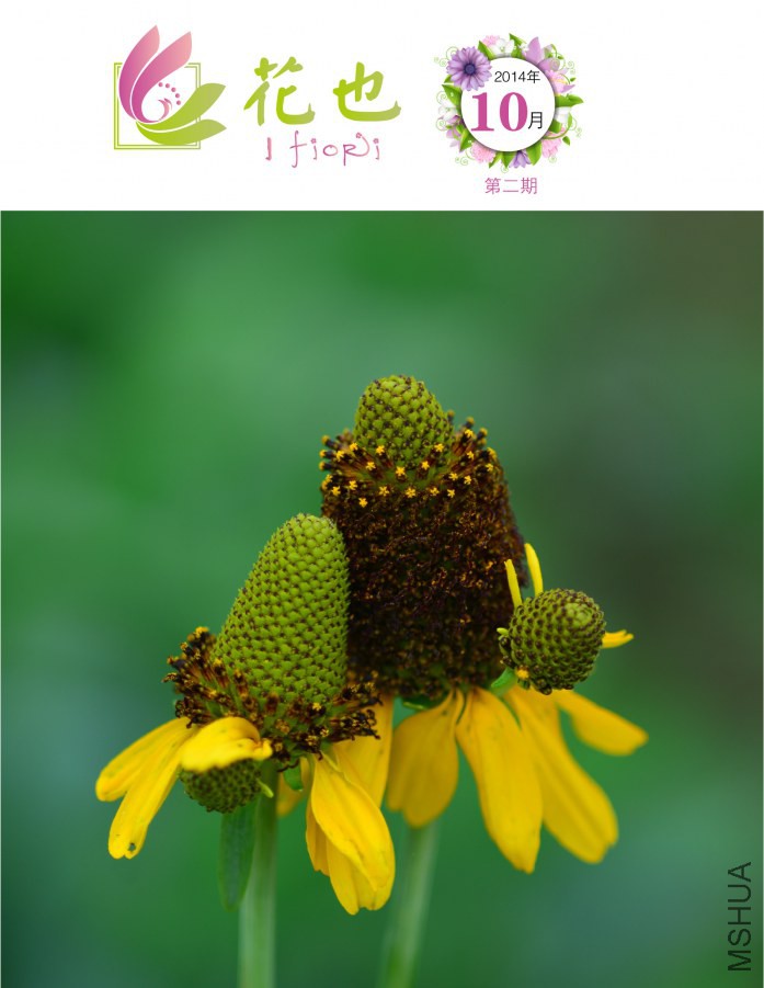 ��Ҳ�ڶ���-01.jpg
