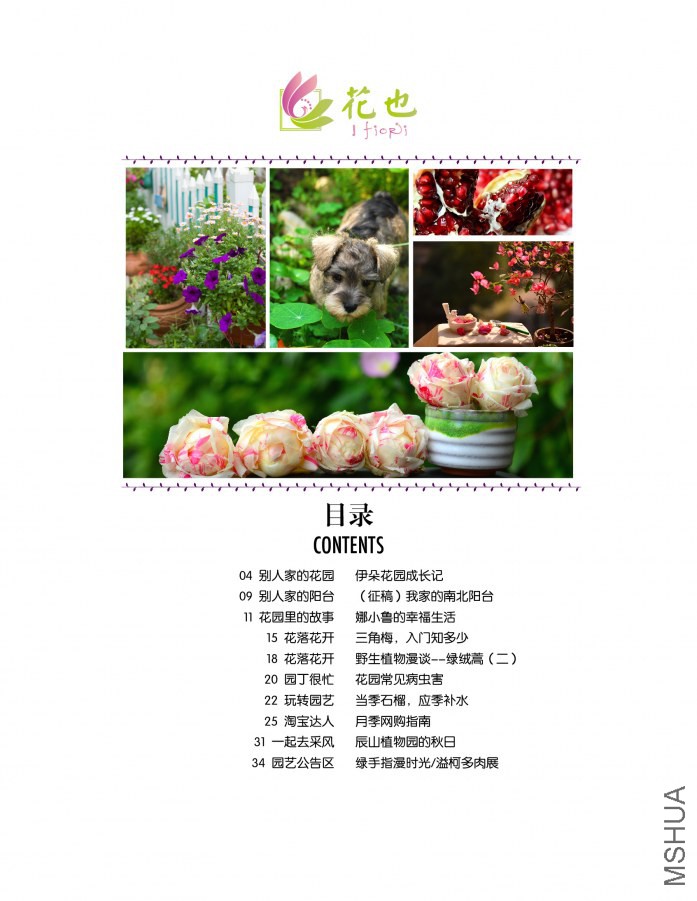 ��Ҳ�ڶ���-02.jpg