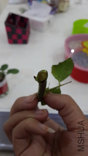 20141016_203301.jpg