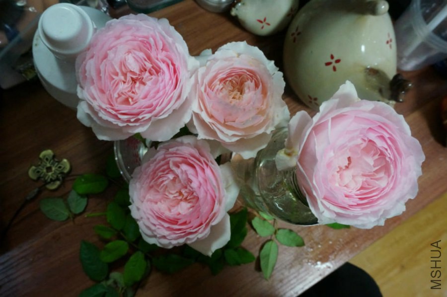 �м������Ƕ����պ�