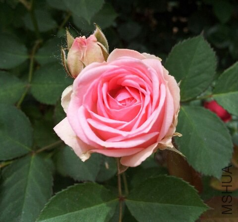 IMG_20141016_215117.JPG