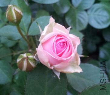 IMG_20141016_221612.JPG