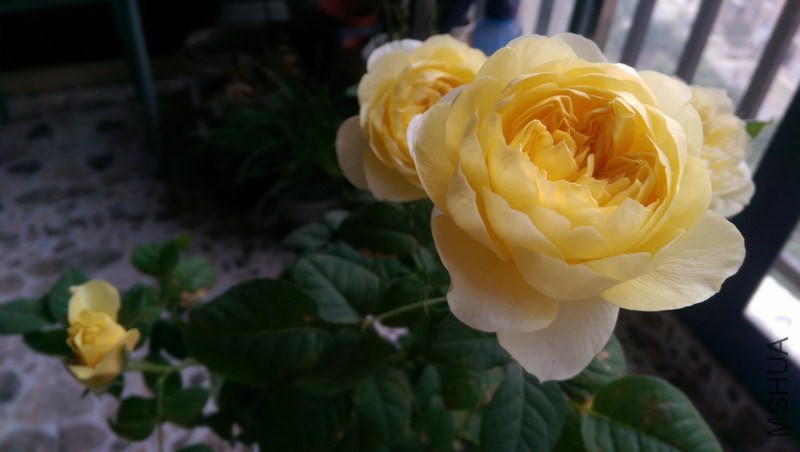 IMAG0726_����.jpg
