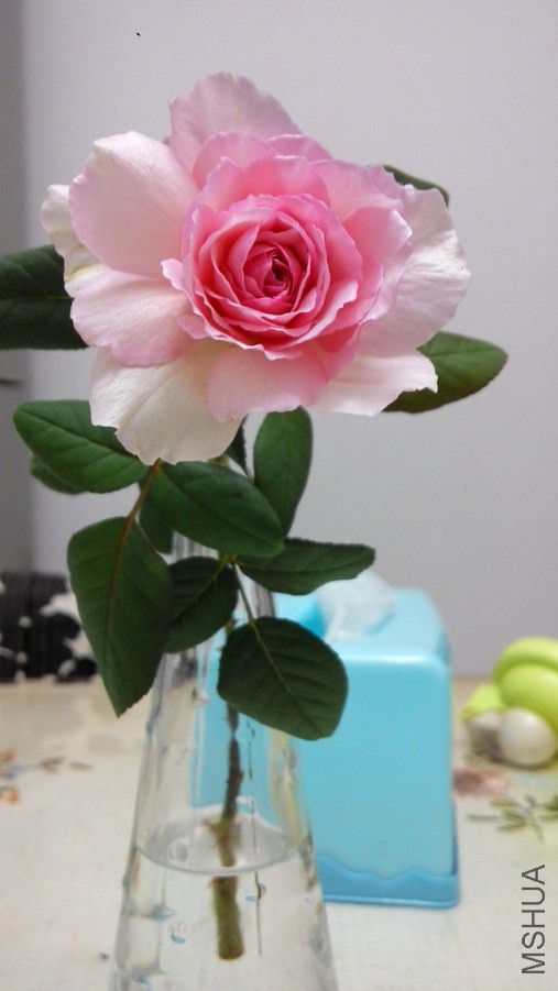 20141016204354.jpg