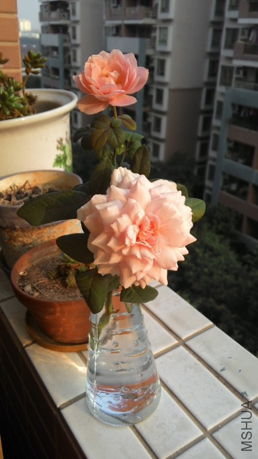 20141017073917.jpg