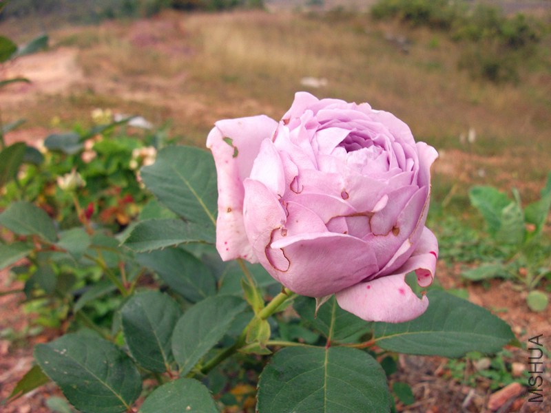 10�ſ���ʱ��