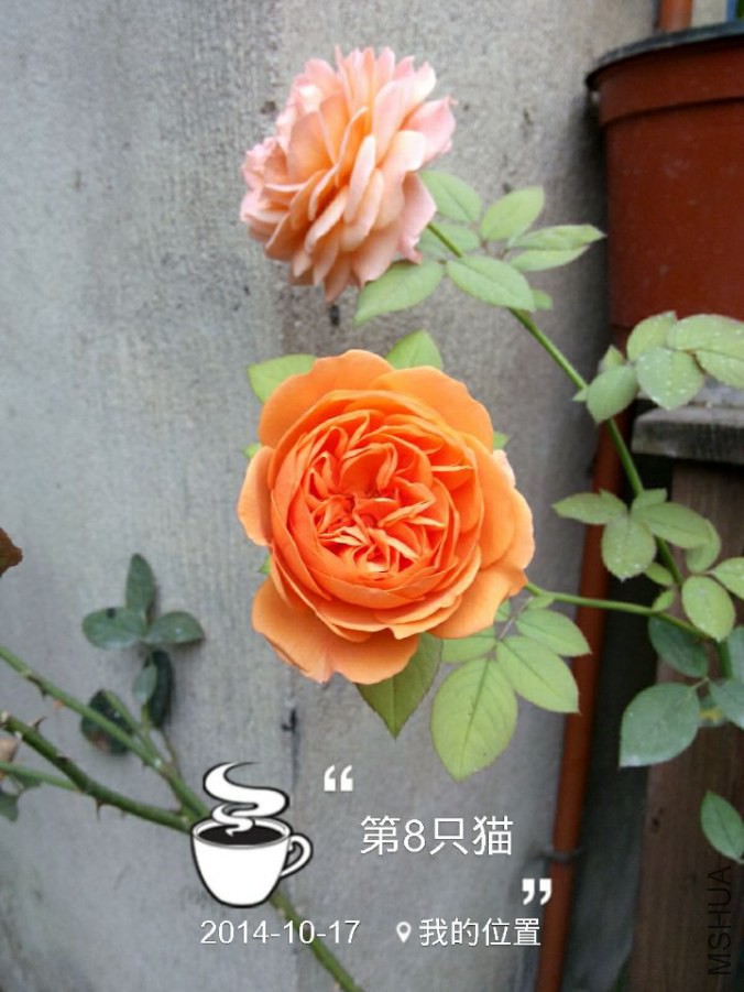 P]_}82DJ`VE484U3Y(KO@TC.jpg