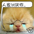 a8f2bbd813e6da9d6da15e11be115054.gif