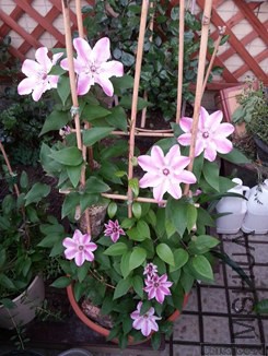 20140418_181117.jpg