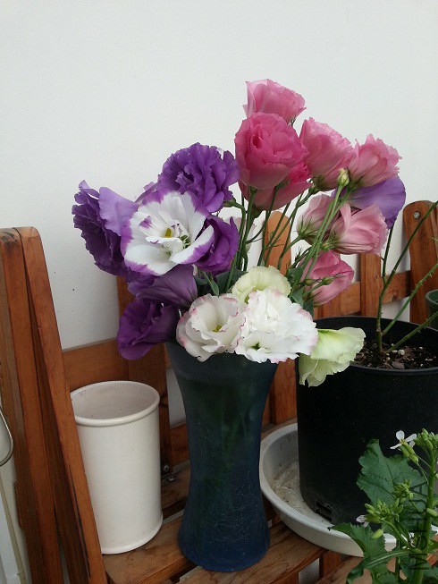 20140703_175611.jpg