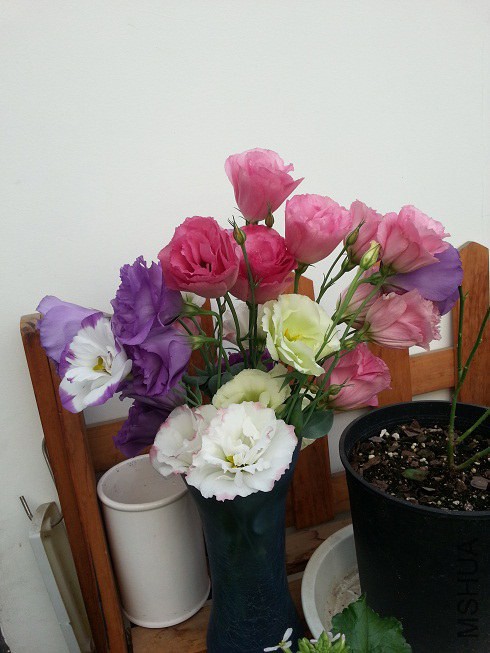 20140703_175653.jpg