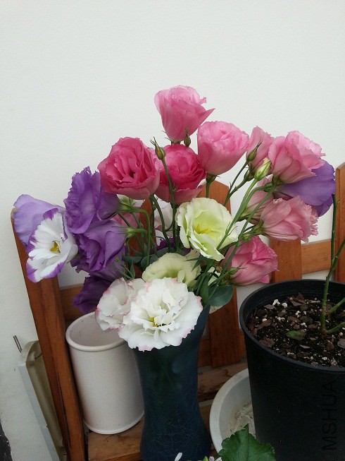 20140703_175704.jpg