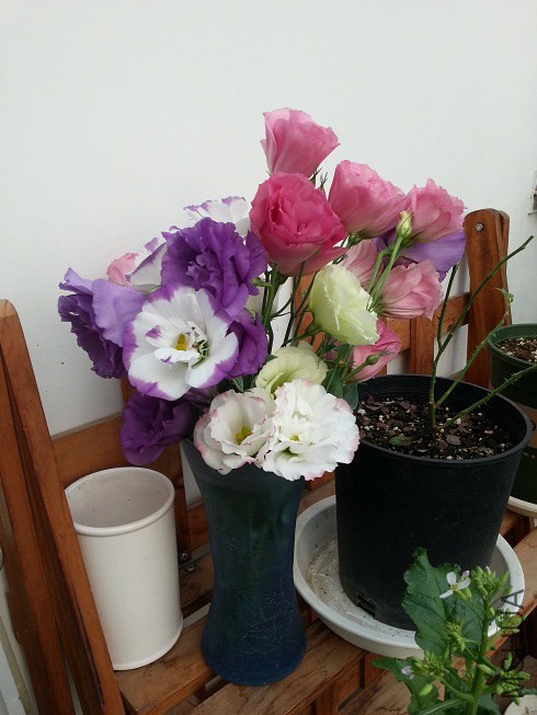 20140703_175759.jpg