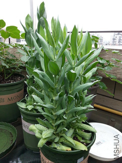 20140510_143508.jpg