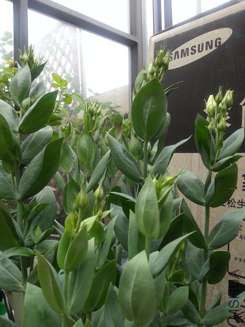 20140602_075701.jpg