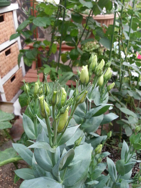 20140608_174827.jpg