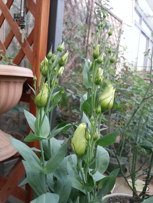 20140610_183326.jpg