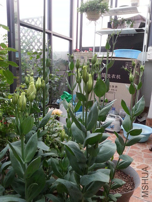 20140610_183746.jpg