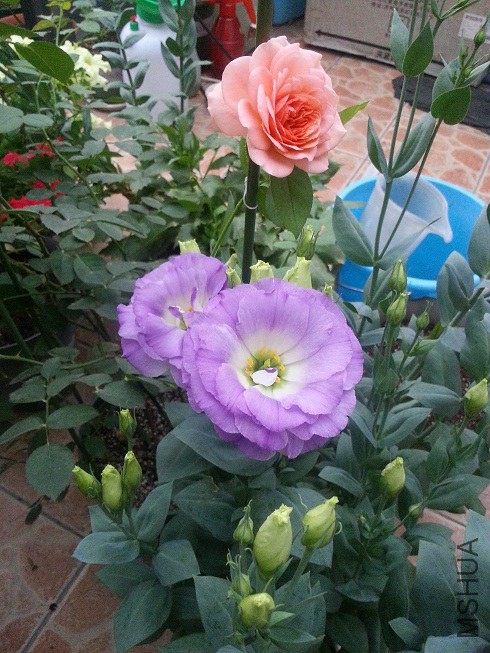 20140613_183357.jpg