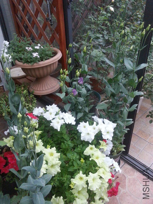20140613_183817.jpg