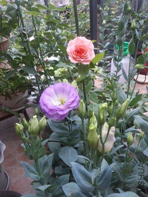 20140613_183845.jpg