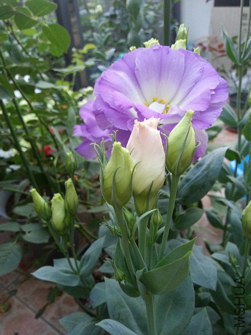 20140614_183149.jpg