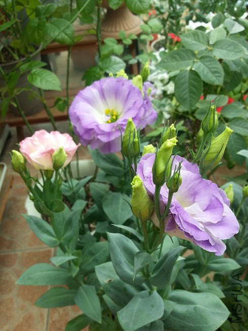 20140615_122708.jpg
