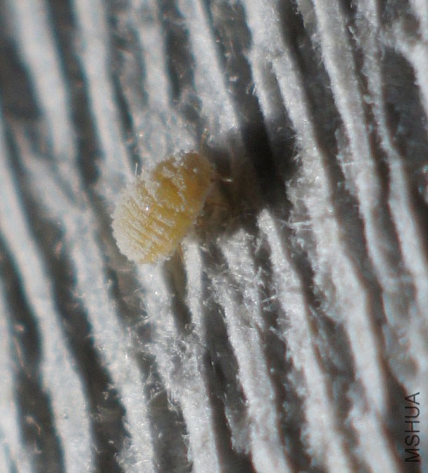 DSC07355.JPG