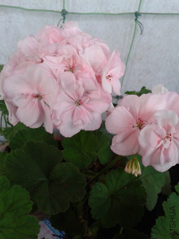 2014-10-14 17.21.54_����.jpg