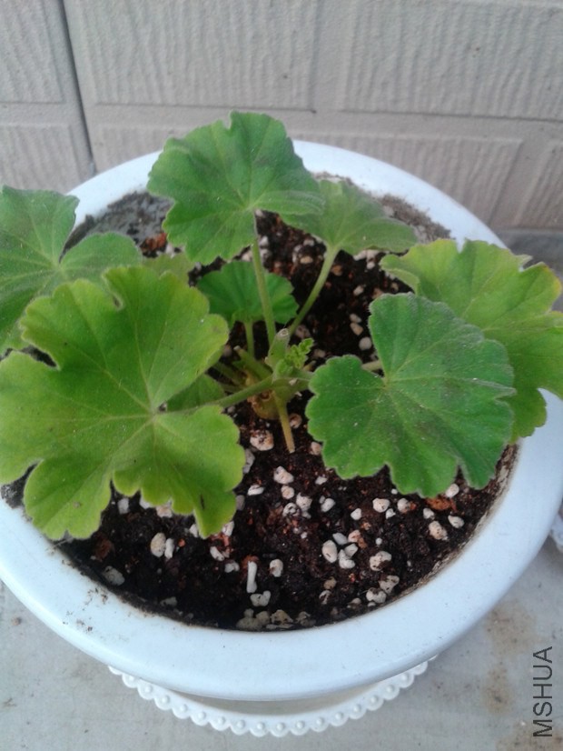 2014-10-15 16.34.52_����.jpg