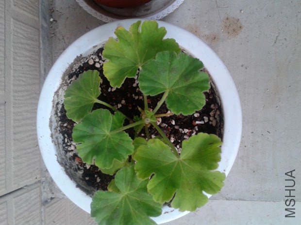 2014-10-15 16.34.43_����.jpg