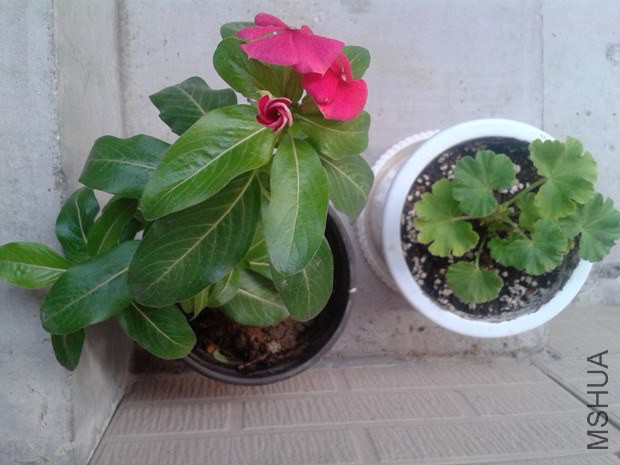 2014-10-15 16.34.24_����.jpg