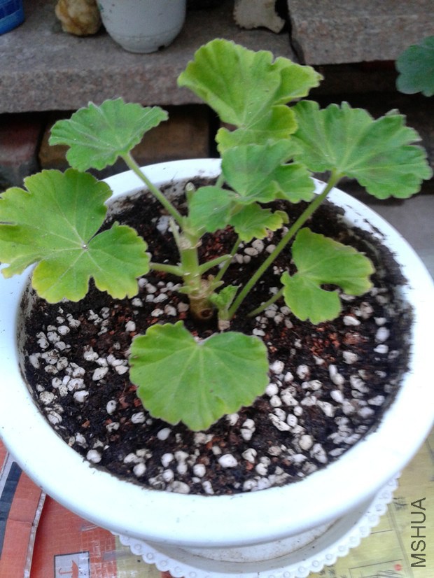 2014-10-11 17.08.32_����.jpg