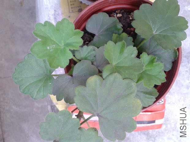 2014-10-05 09.52.19_����.jpg